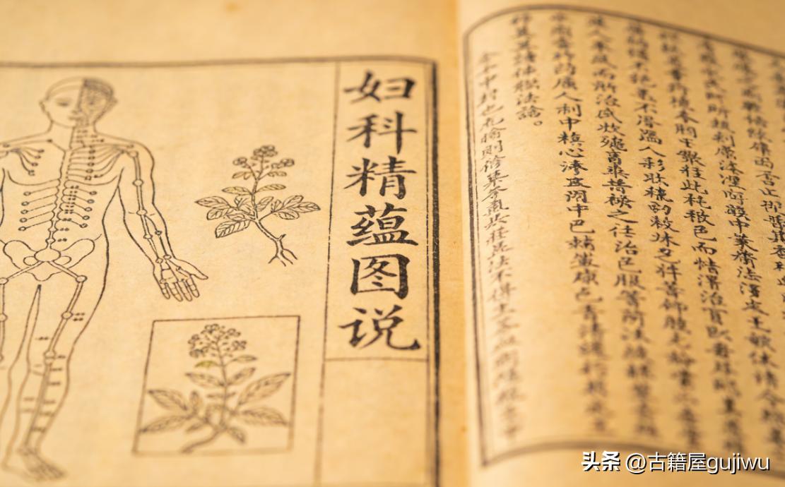 《妇科精蕴图说》页数: 692页5册5卷 光绪15年（1889）羊城博济医局藏版