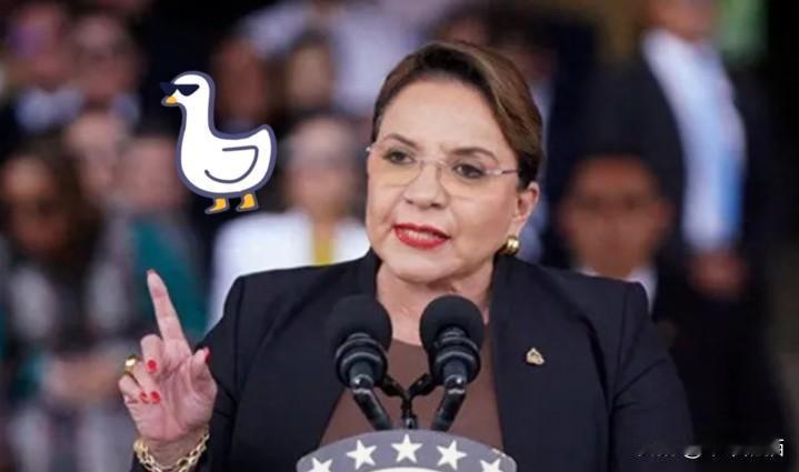 今年圣诞夜洪都拉斯女总统卡斯特罗的一段视频火了，对着全国民众她拍着胸脯承诺，等明