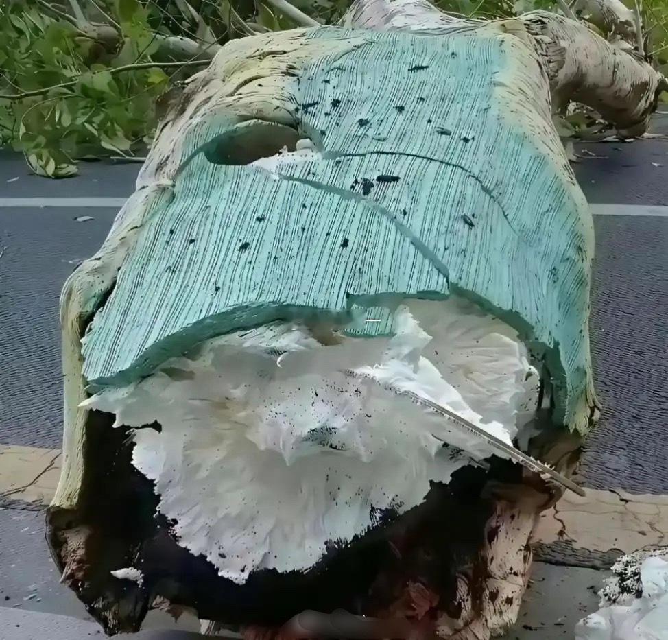 现在还有什么是真的 ​​​