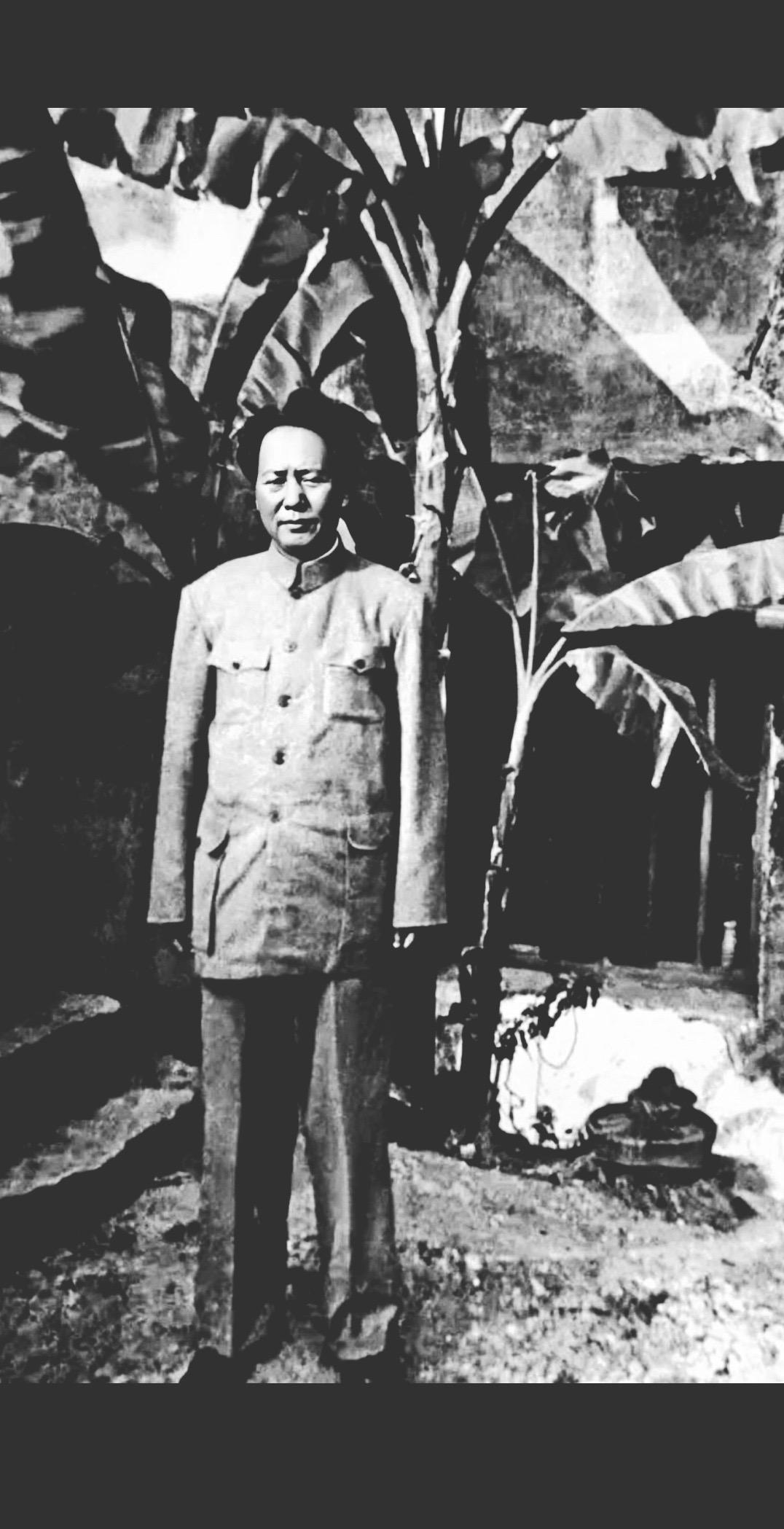 事与时违不自由，如烧如刺寸心头。