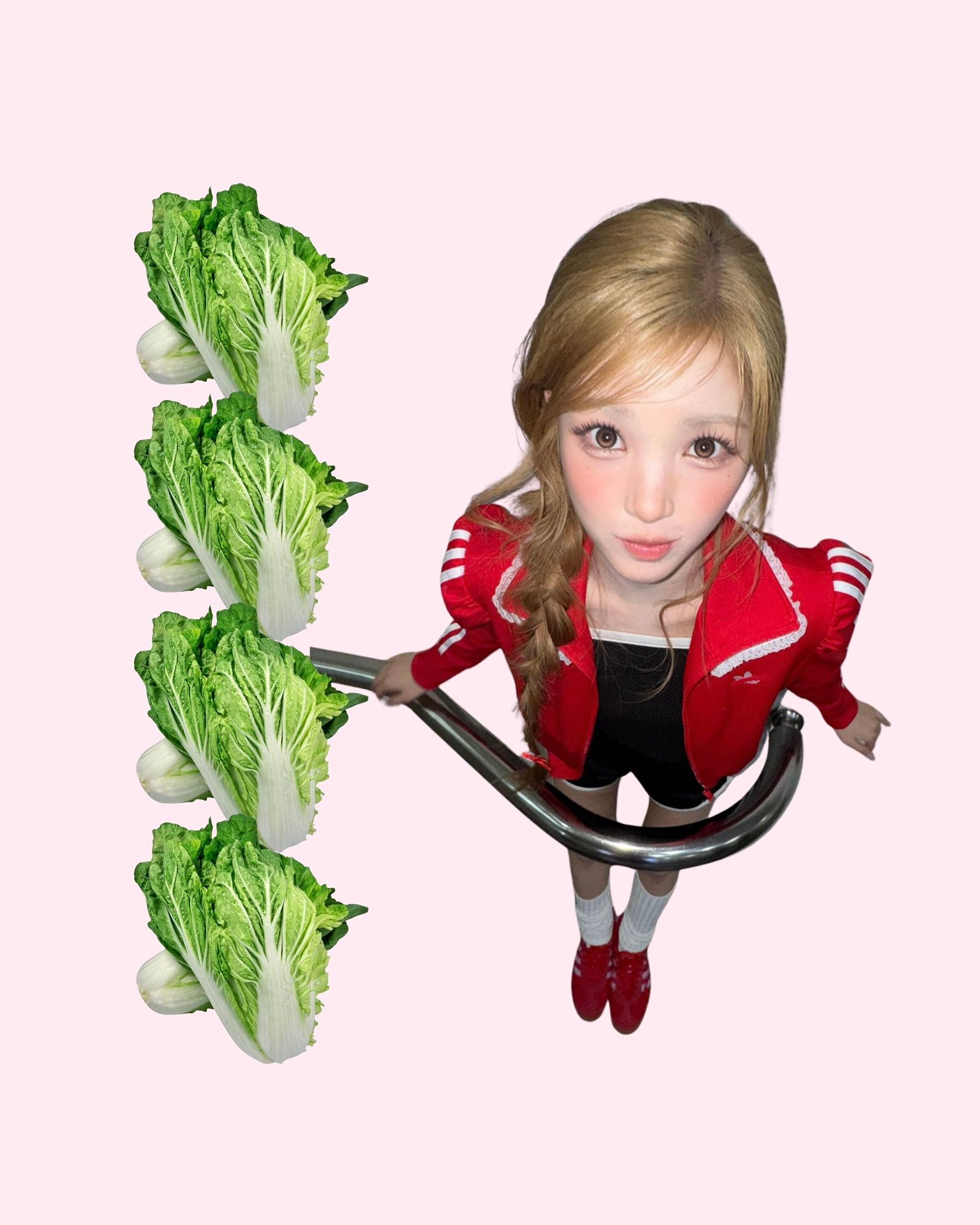 简介：一整箱脆嫩的小白菜 1公斤~^^头像：青春从現在开始~ ♡ 