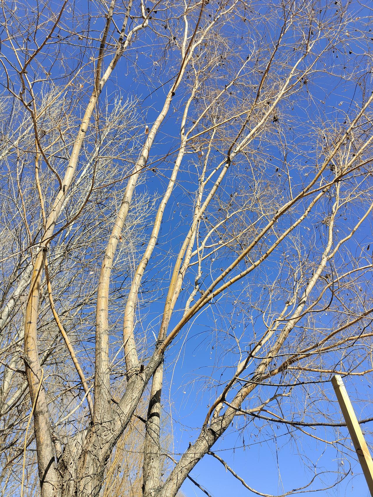 历史上的今天：1月17日的重要事件回顾

首先，值得一提的是，1912年1月17