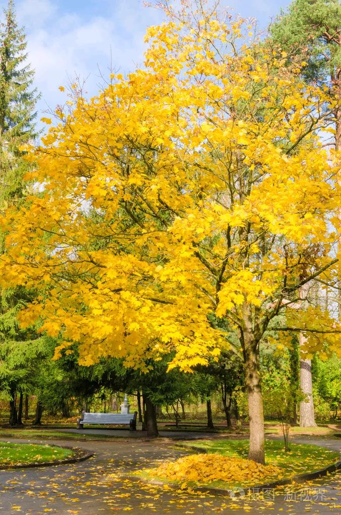 #秋季景色大pk#秋季是一个色彩斑斓的季节，各地的秋景各具特色。你喜欢哪种秋季景