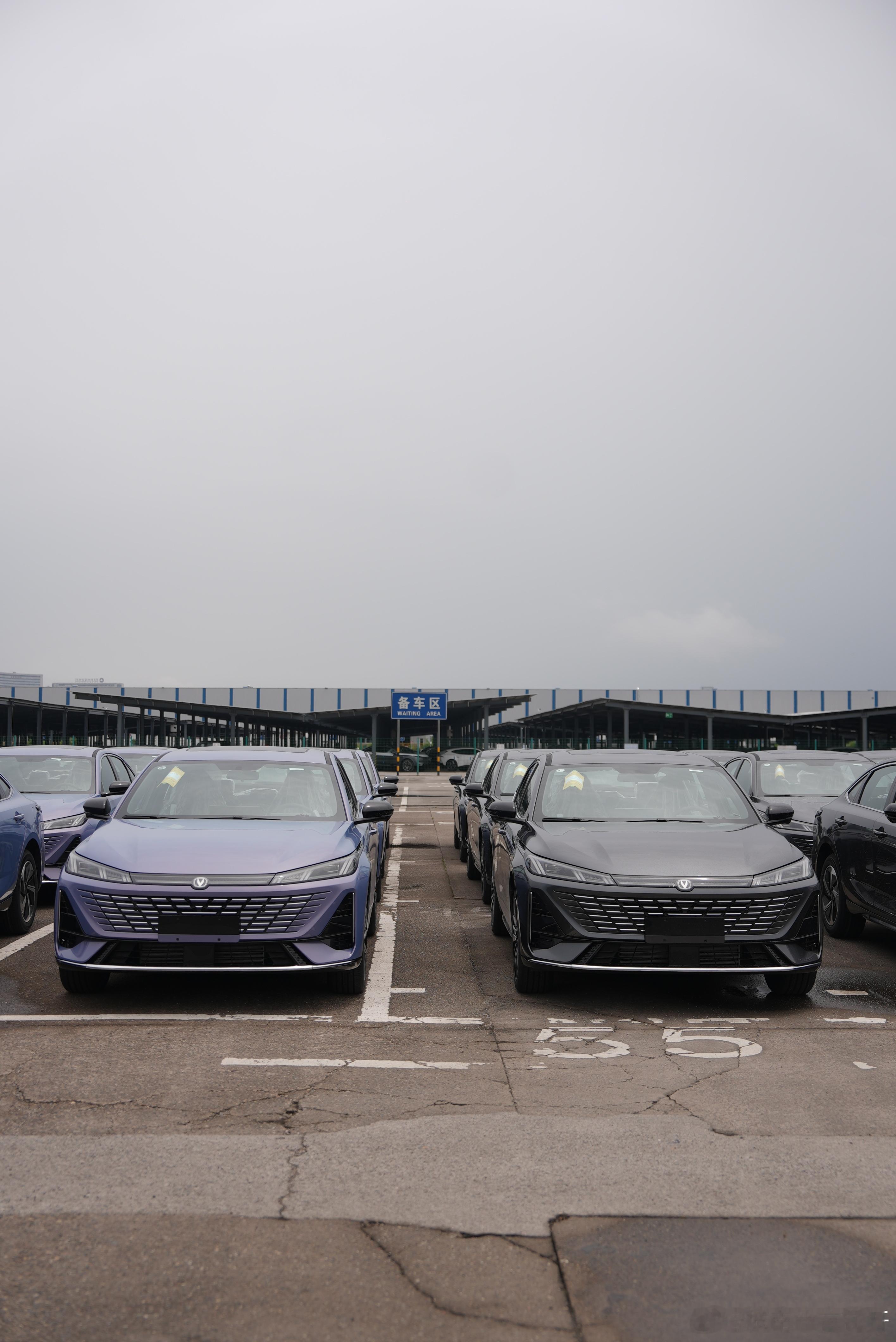 长安汽车 蓝鲸超擎双车上市“热度不减、火速交付”，5月25日走进长安整车分拨中心