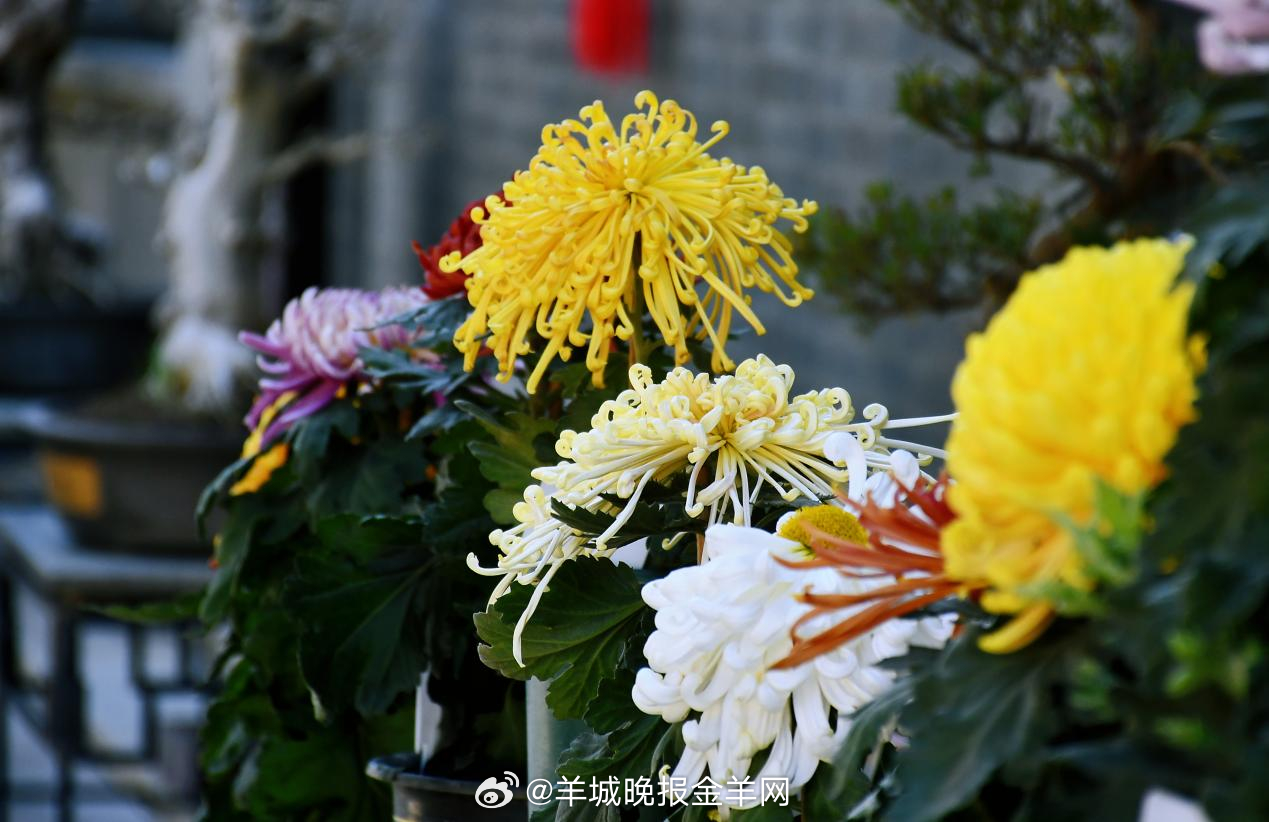 #晚安#愿我们学会把目光收回，珍惜当下。想做的事就立刻着手，想要的生活就从此刻开