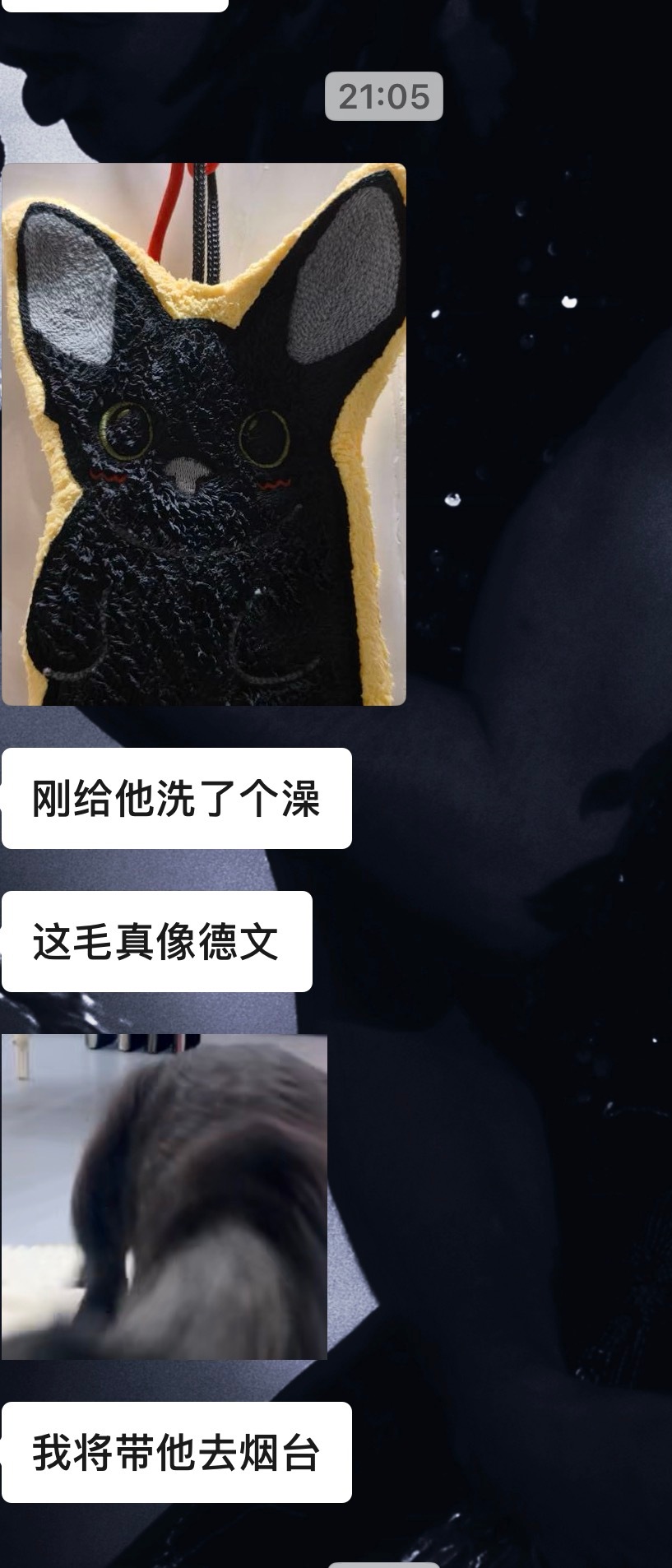 笑不行了，湿了水怎么真的很像德文的毛 
