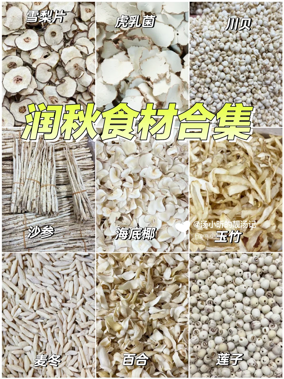 入秋多吃白色食物，秋季以白养白，润🫁