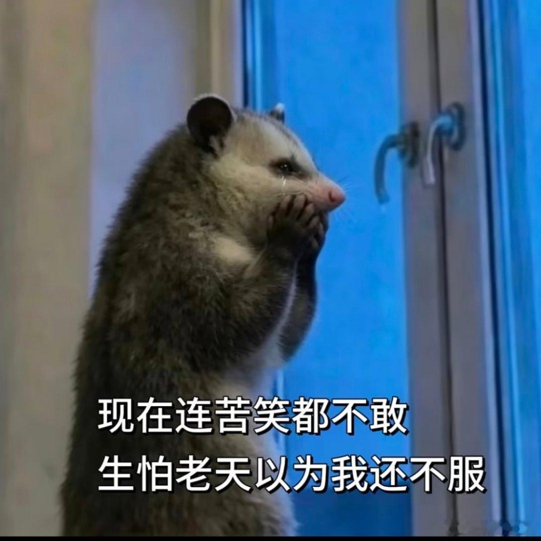 你是怎样度过自己人生至暗时刻的熬呗，熬着熬着就熬成了阿香婆。 