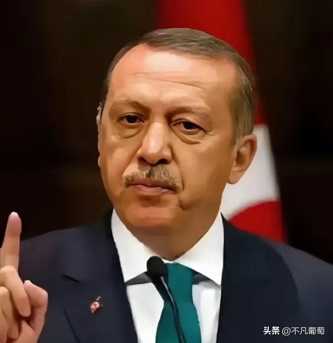 中国和土耳其谈话了
3月25日，土耳其终于等不了了，一通电话打到了中国，土耳其外