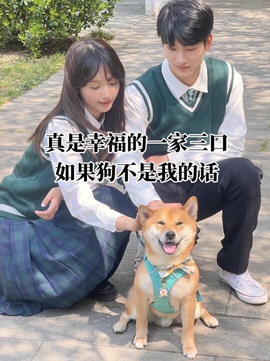 当我的狗被别人借去拍照📷他真的好开心