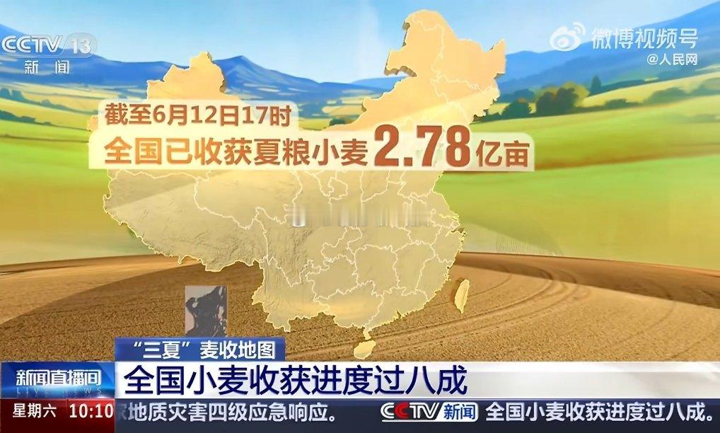 全国小麦收获进度已过8成今年我们这里偏赶上收获那几天下雨刮风很多小麦质量极差，收