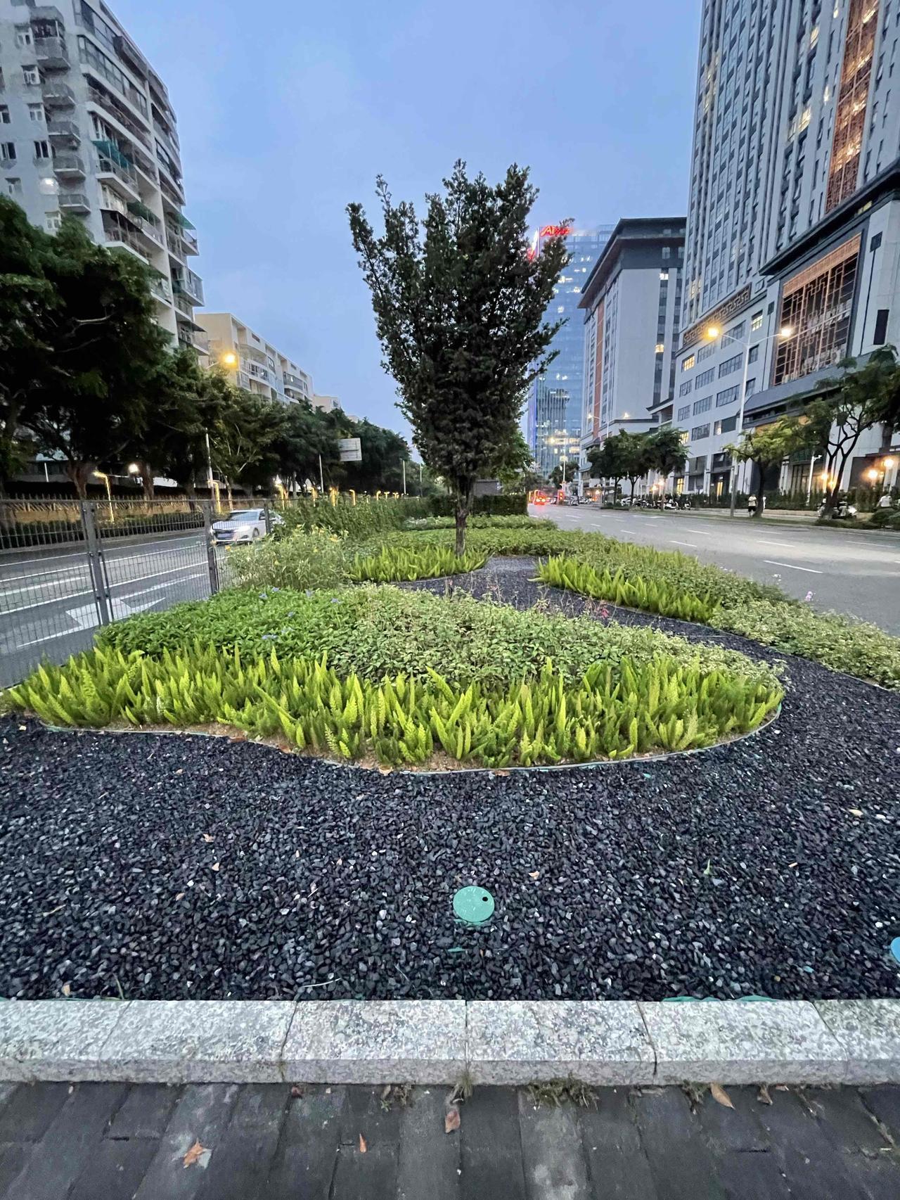 晒图笔记大赛这就是深圳的绿化，随便一拍都是一道美丽的风景！