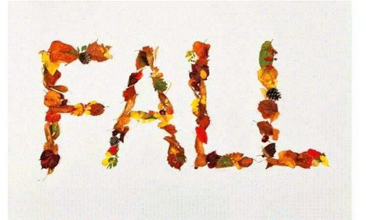 由fall构成的两个常考短语
fall back on 和fall behind