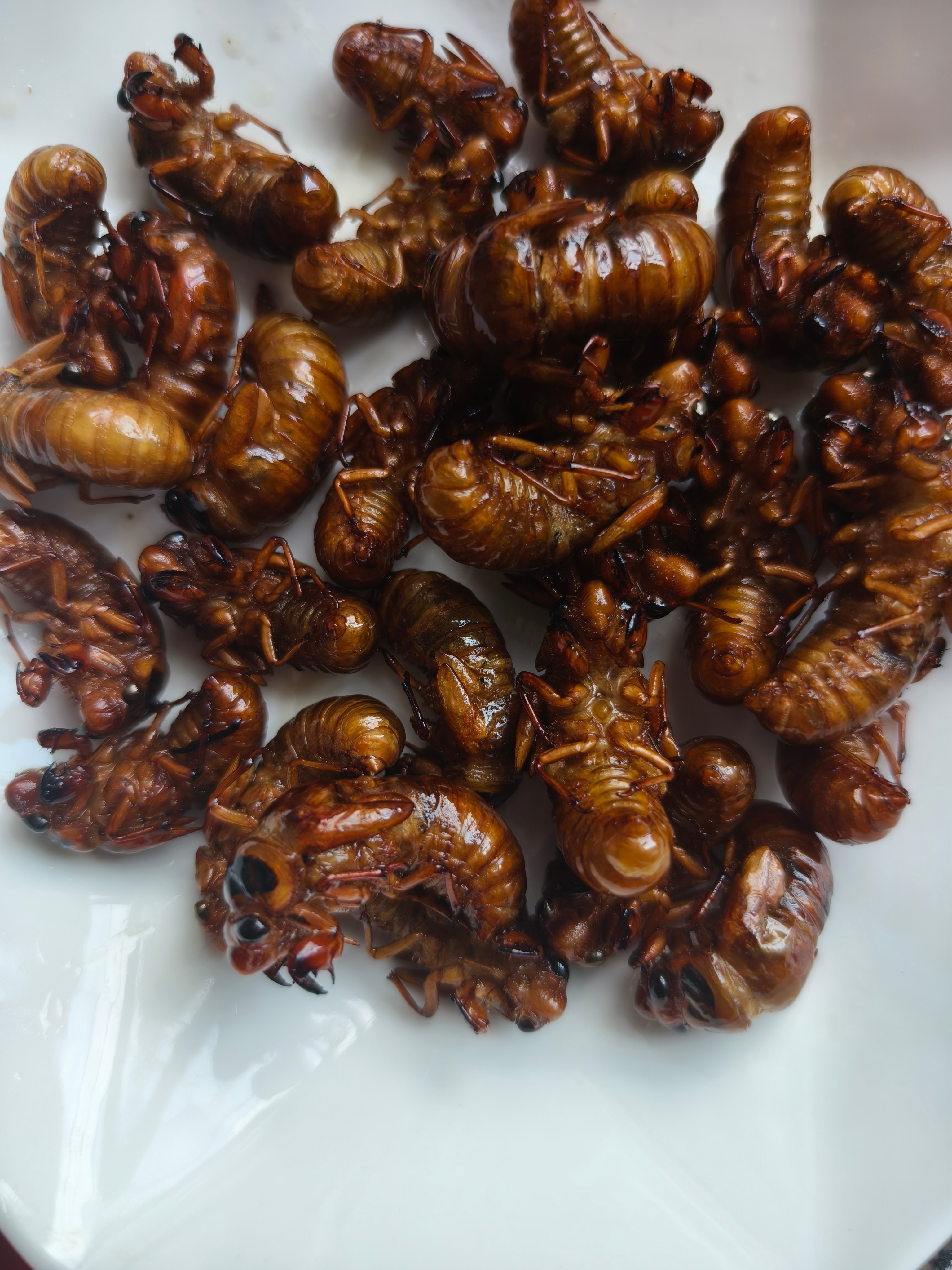 又到了吃知了猴的季节了真的超级无敌美味😋 
