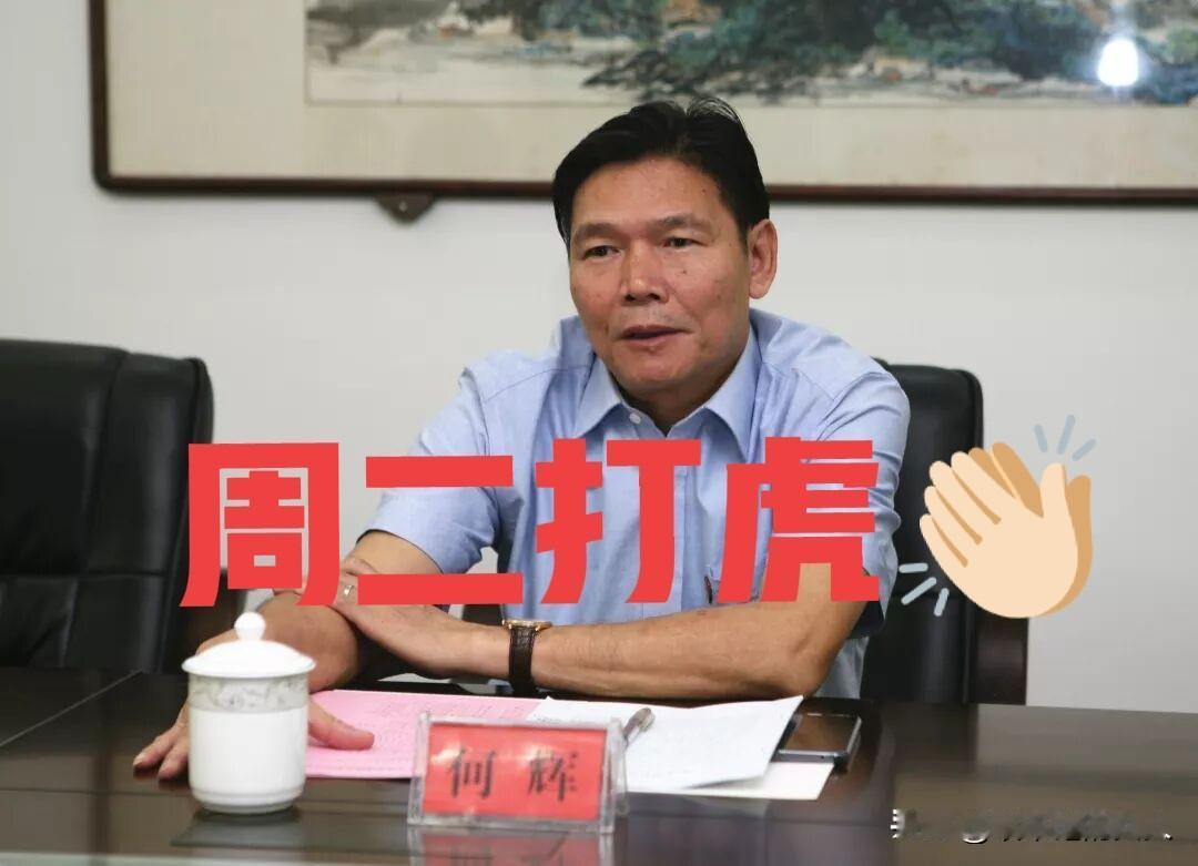 就在刚刚，
看了“界面快讯”新闻，“何辉”被查，于是看了一下他的工作履历，66岁