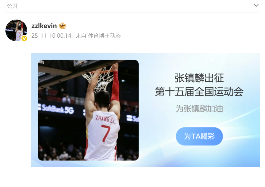 第十五届全运会 张镇麟打今年全运会吗？ ​​​