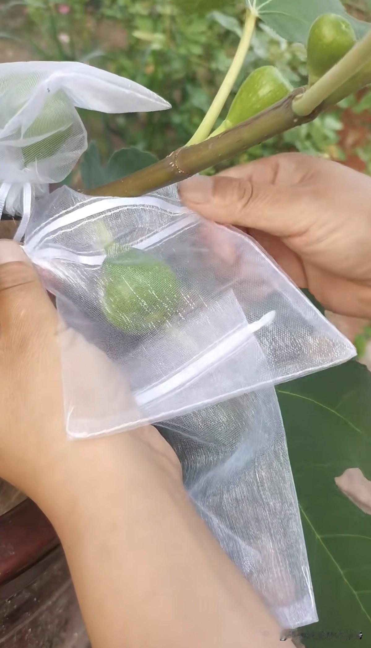 霍尔木兹海峡坐落于中东地区，扼守波斯湾与印度洋的连通门户，北侧毗邻伊朗，南侧为阿