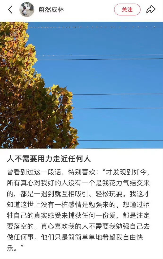 来看 看完就不焦虑了 