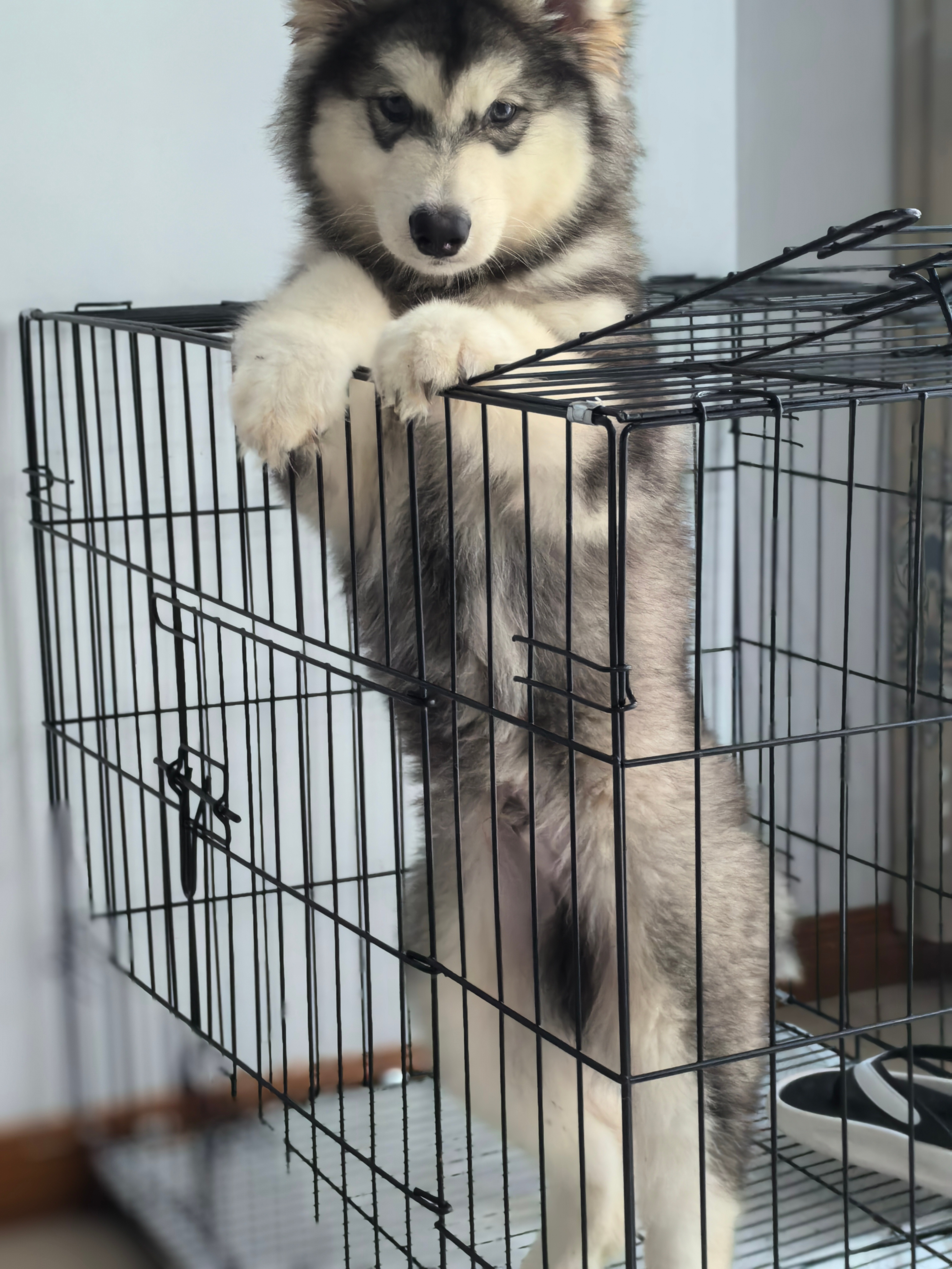 一起床两个就这样。。哈哈哈😂 ​​​