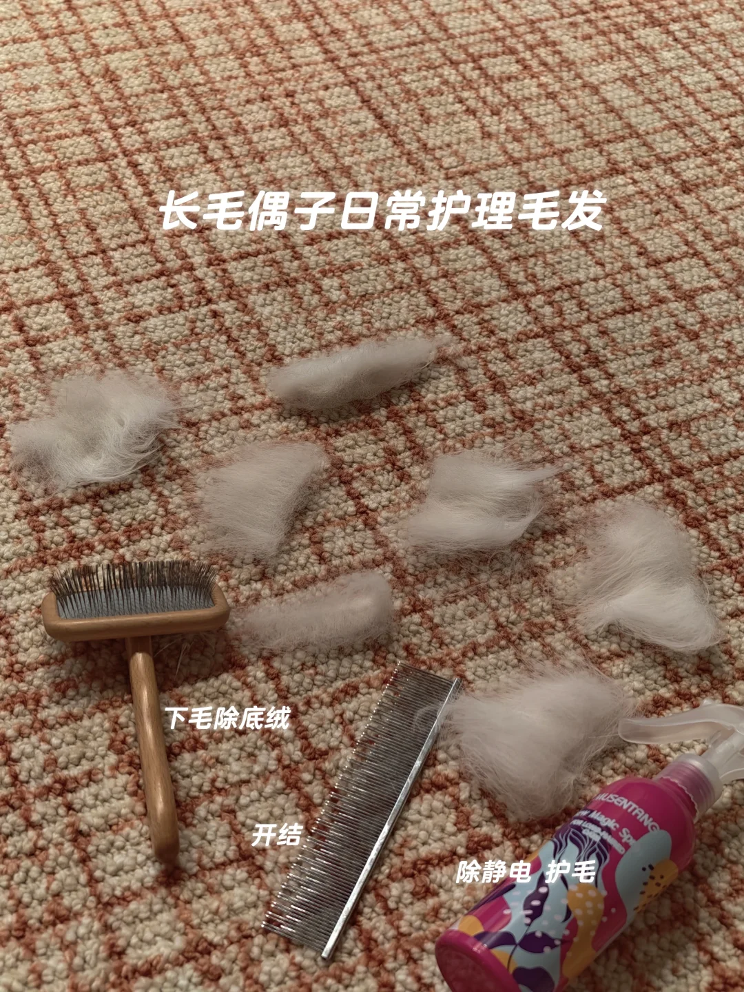 10w人看过的梳子|长毛猫日常护理