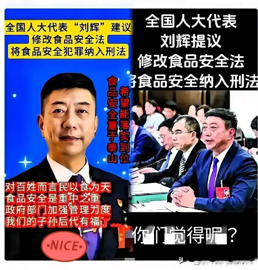 死刑早已存在，毒食品为何屡禁不止？人大代表刘辉戳破关键：真正的“杀手锏”从来不是