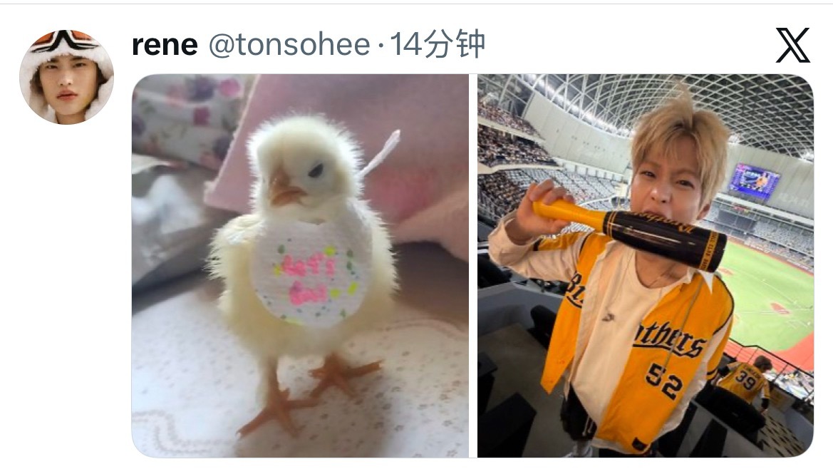 又有新代餐🐥 