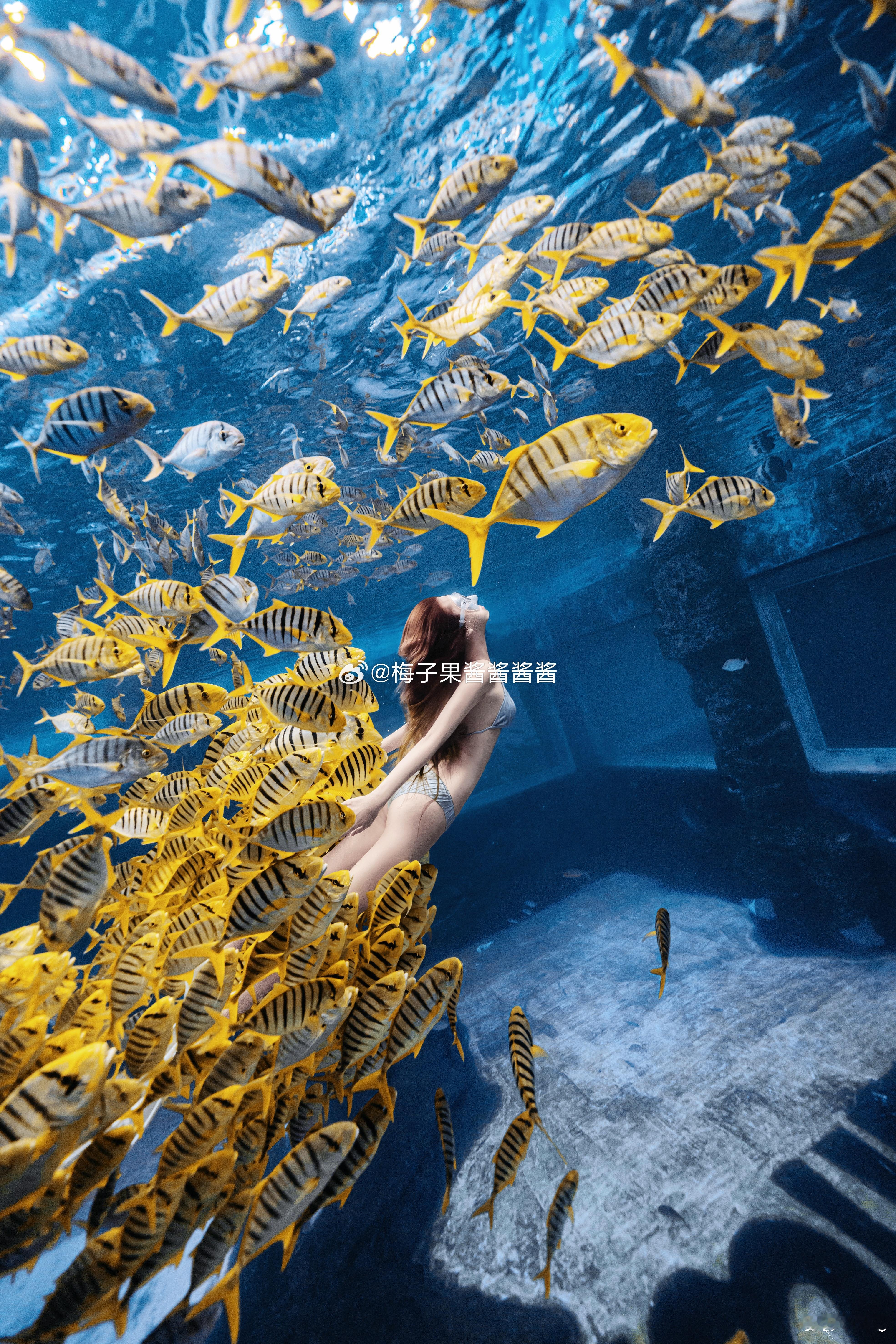 🧜🏻‍♀️🩵第一次自由潜嘿嘿🤿好玩好玩🫧🐠🔱 ​​​