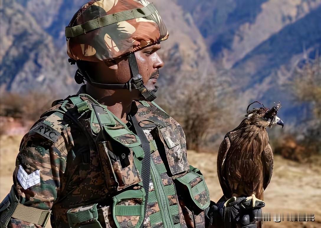 印度这一招也是很厉害，居然想到用老鹰来拦截无人机，在老鹰的脑袋上绑上这些东西，老
