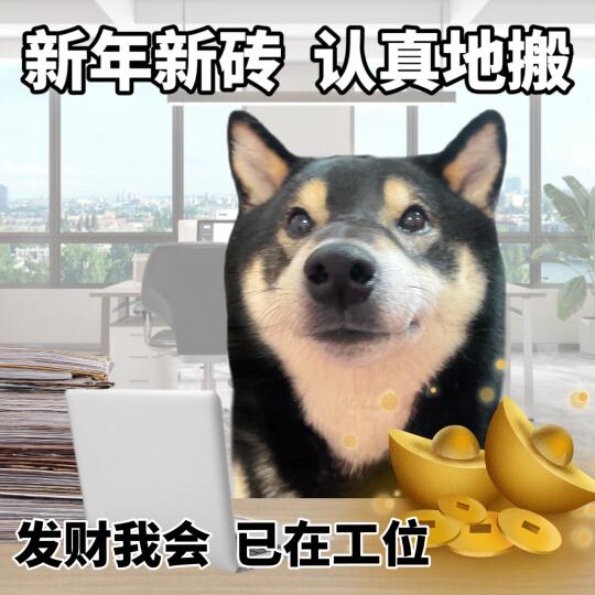 节后人设：捕薪达人😌