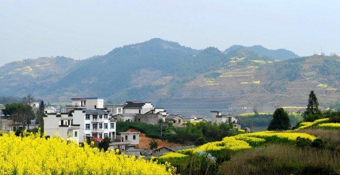新安江山水画廊，与掩映其间的粉墙黛瓦的古村落交相辉映，构成一幅幅美妙的山水画。 