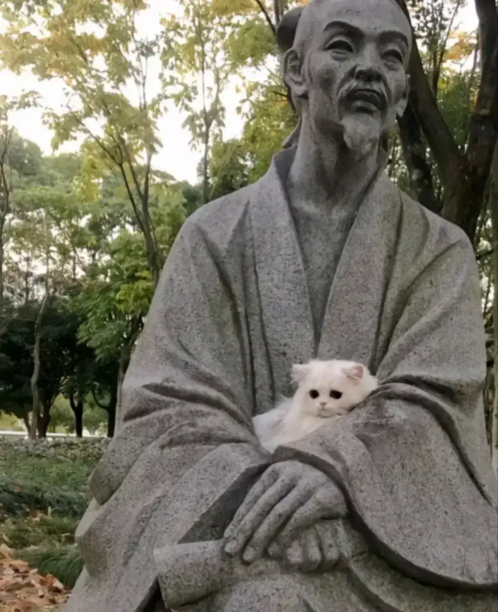 猫咪:我终于也有人抱了耶！而且是这么温暖，这么安全的地方！再也不用被风吹被雨淋了