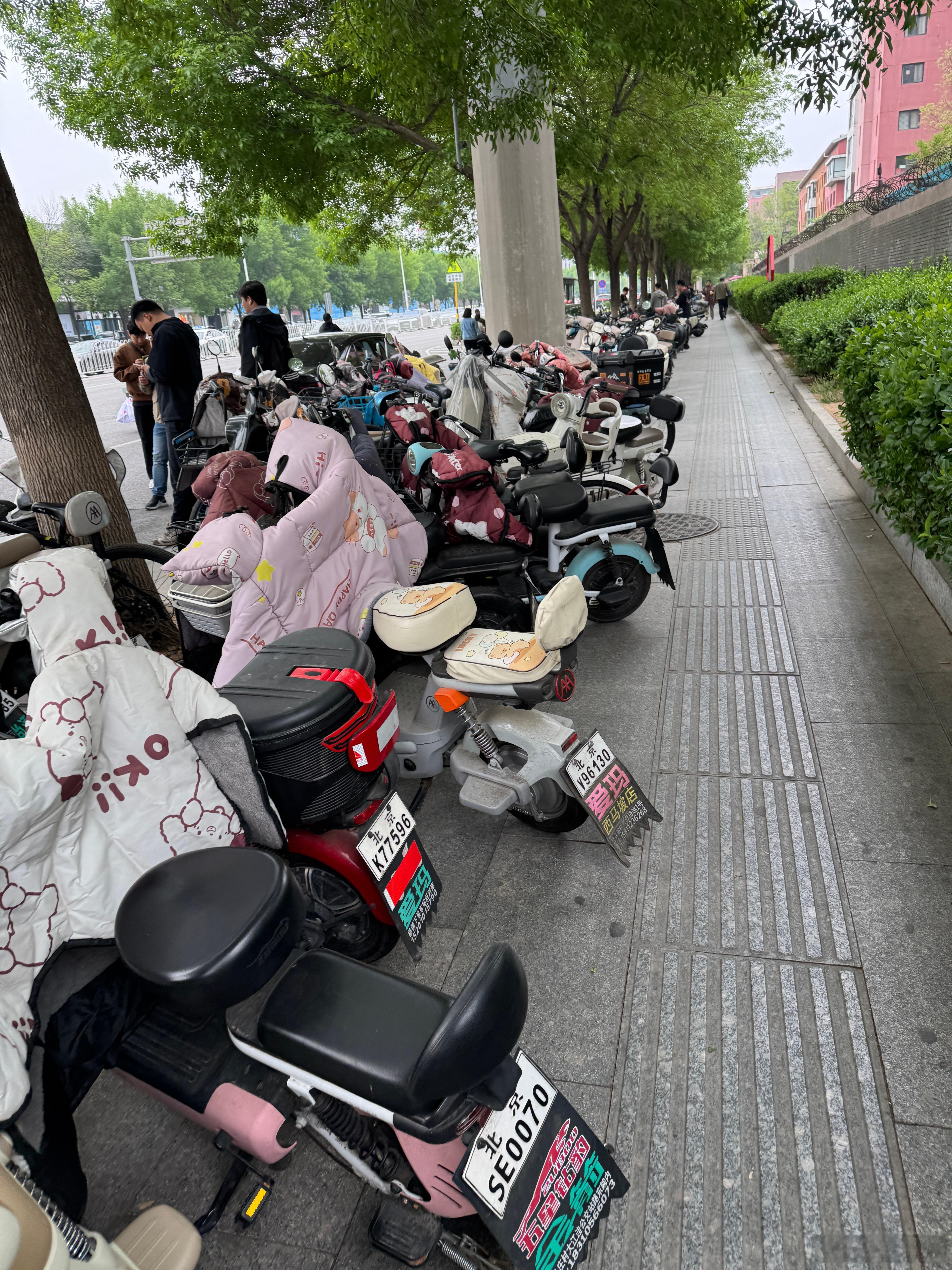 连北京都对电动车这么友好宽容，深圳你怎么好意思大规模整治电动车的