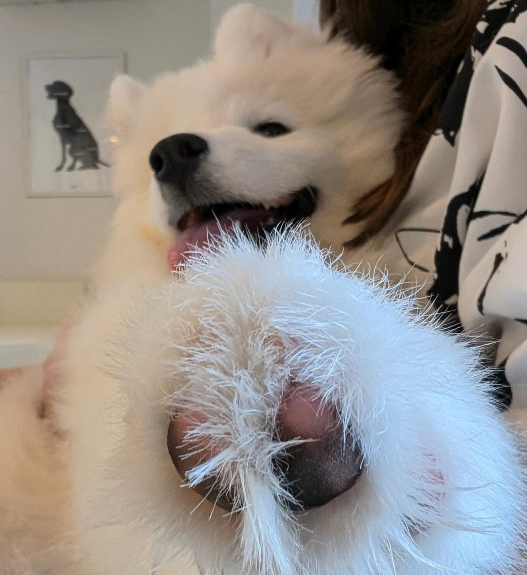 给你，闻我大臭脚！ 