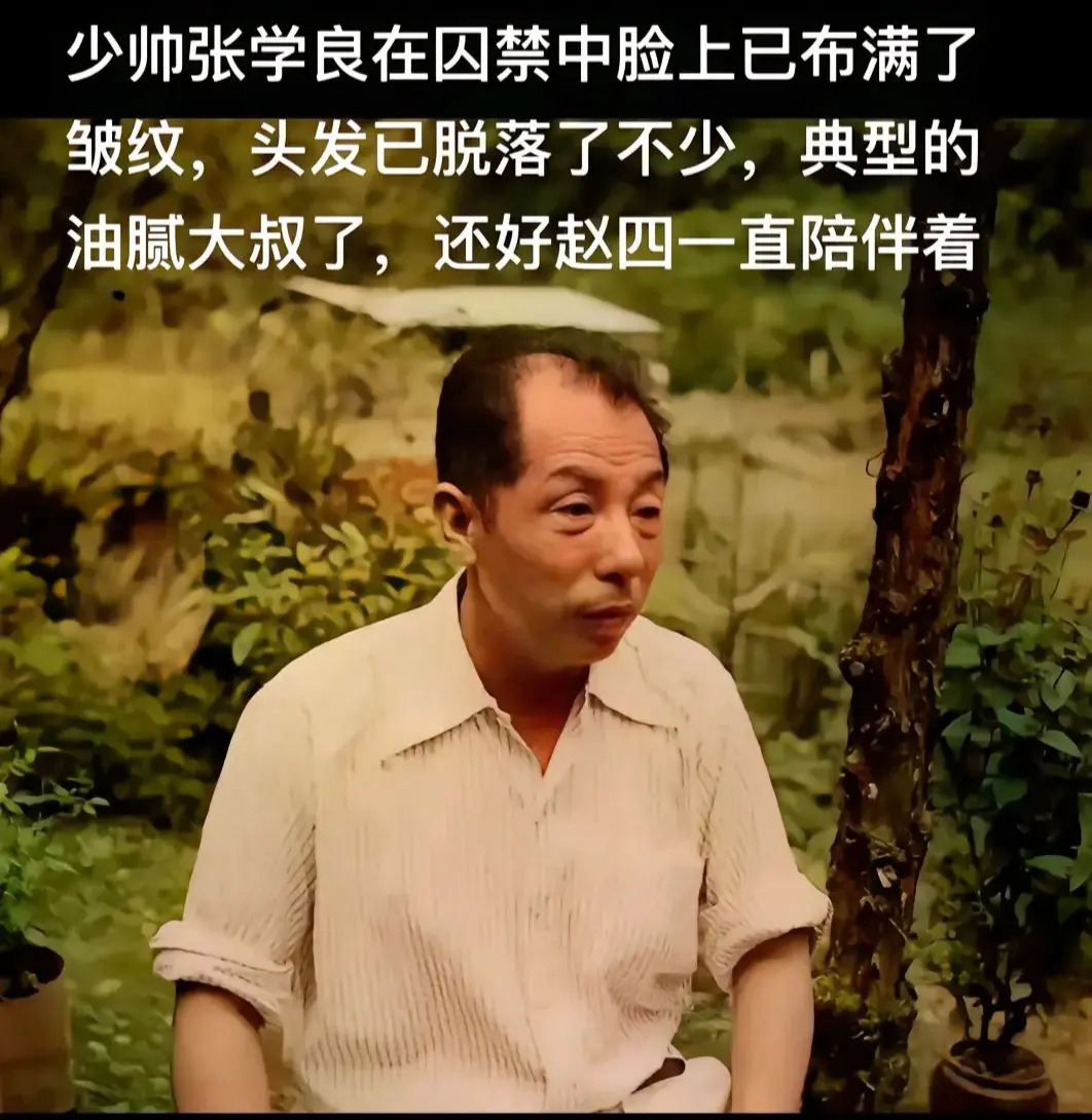 囚禁中的少帅是这样的。