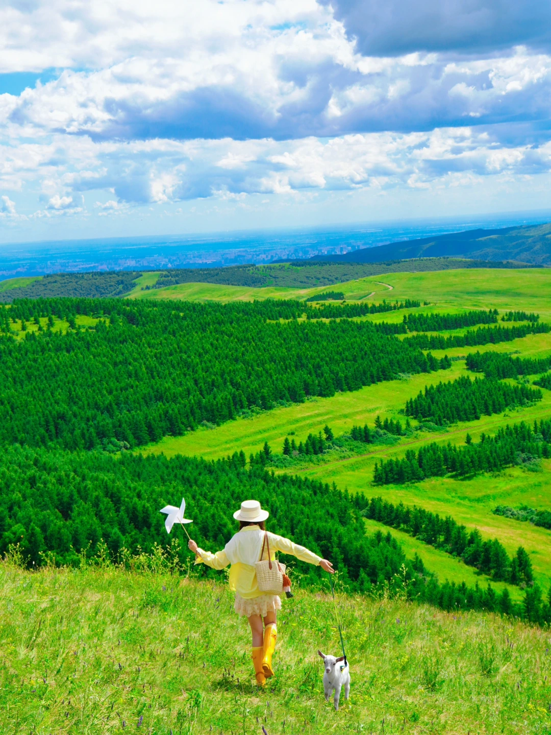 为了这❶❽张图，特意去了趟呼和浩特！附机位🛬