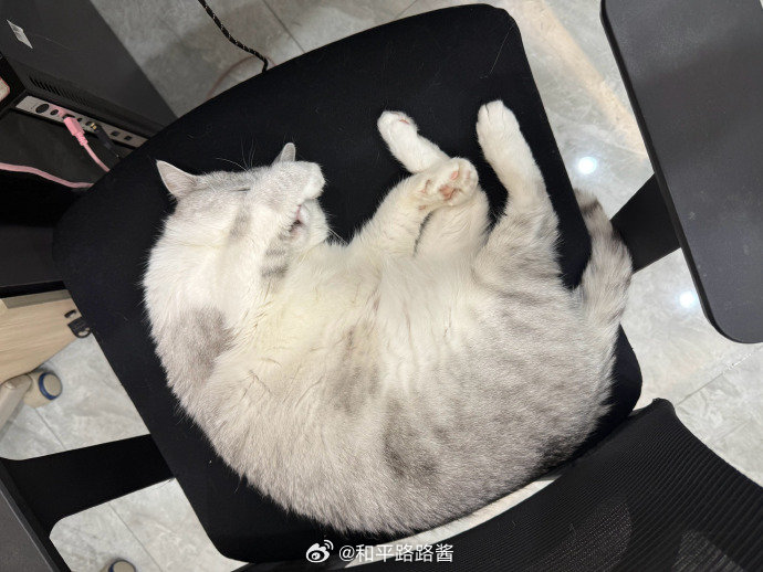 不敢睁开眼希望是我的幻觉2026PEL春季赛 2026PEL