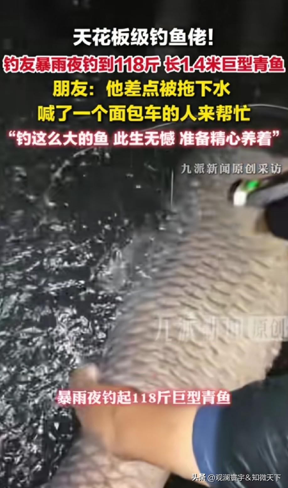 居然没被拉下水[思考]