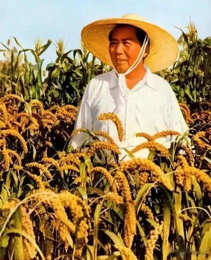 民族幸福人人甜。