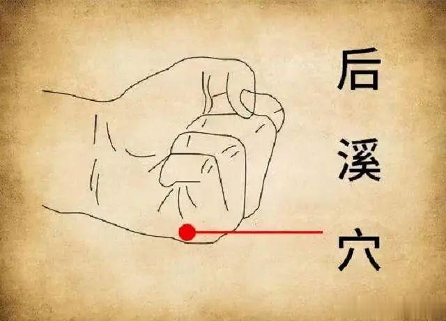 脖子难受了，揉一会就好了，百试百灵！后溪穴：振奋你一身的阳气[赞啊]文/武国忠 