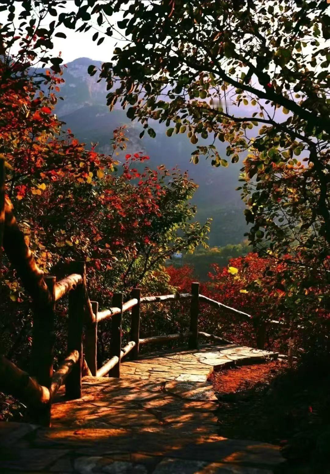 一觉醒来，贾静雯的幸福人设彻底碎了！那个被捧为“姐弟恋天花板”的修杰楷，哪是什么