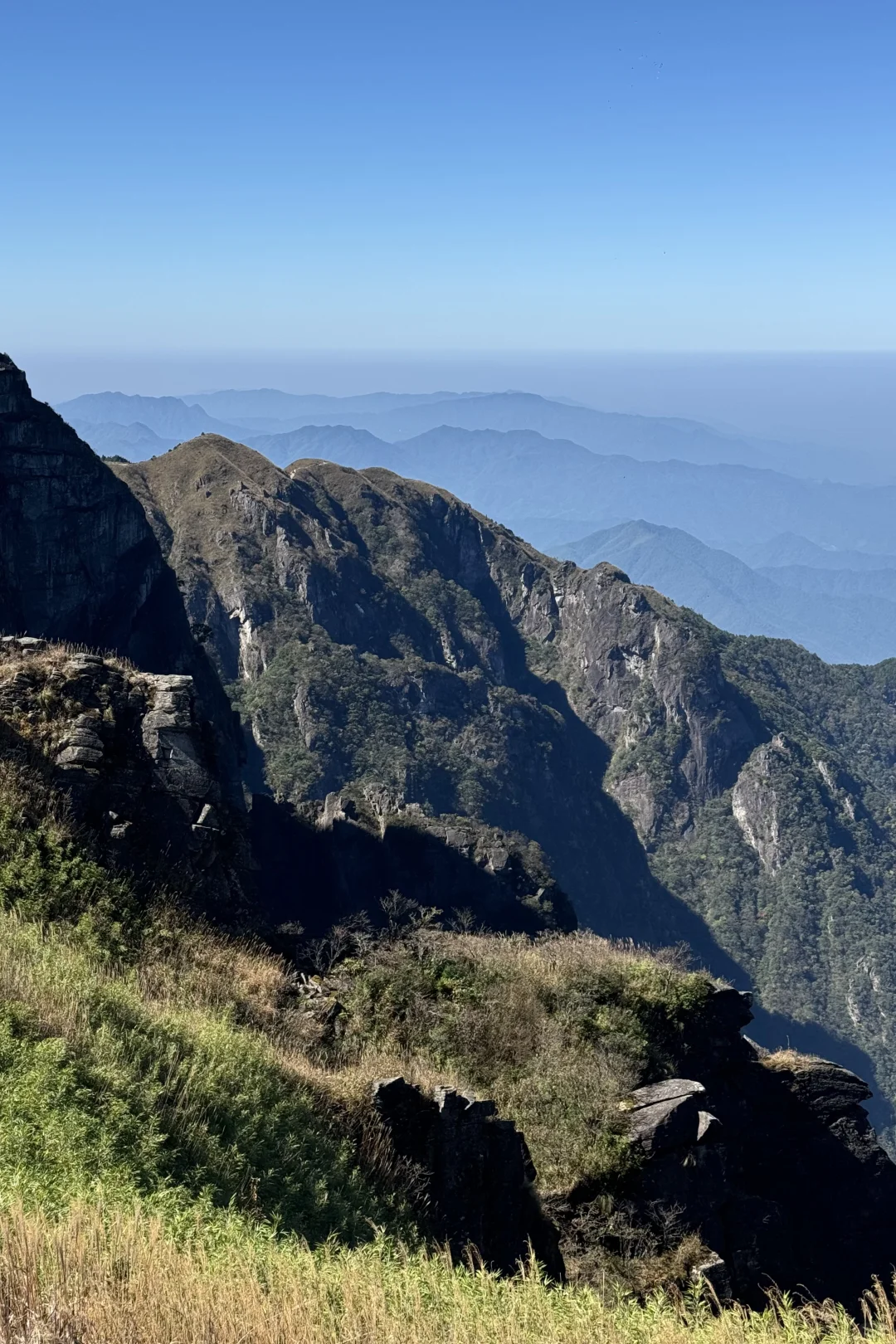 就做那阵吹向山野的自由风