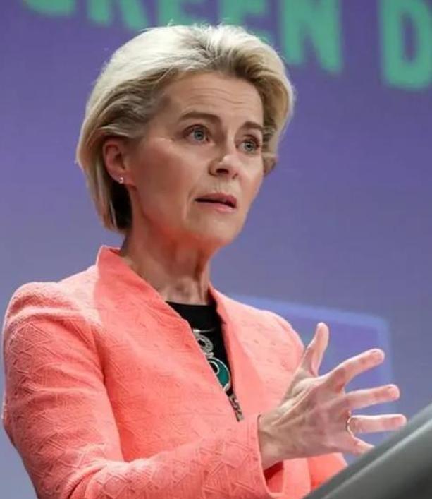 一位欧洲高官终于说出了大实话：“我的老天！要是帮美国把中国搞垮了，那它不就成世界