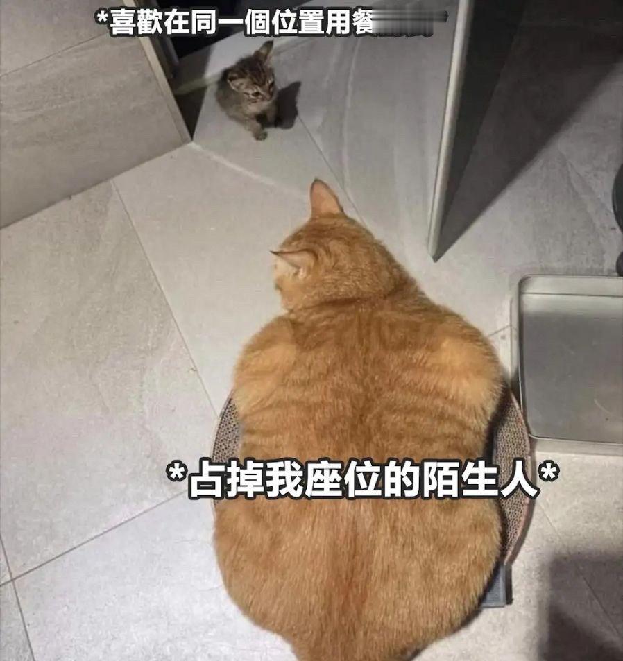 你好 ​​​