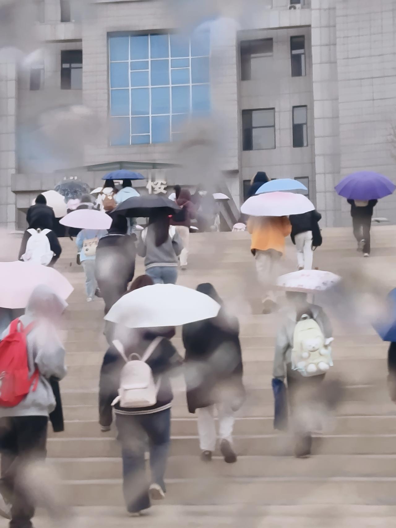 小雨中的校园
雨滴和青春的邂逅。