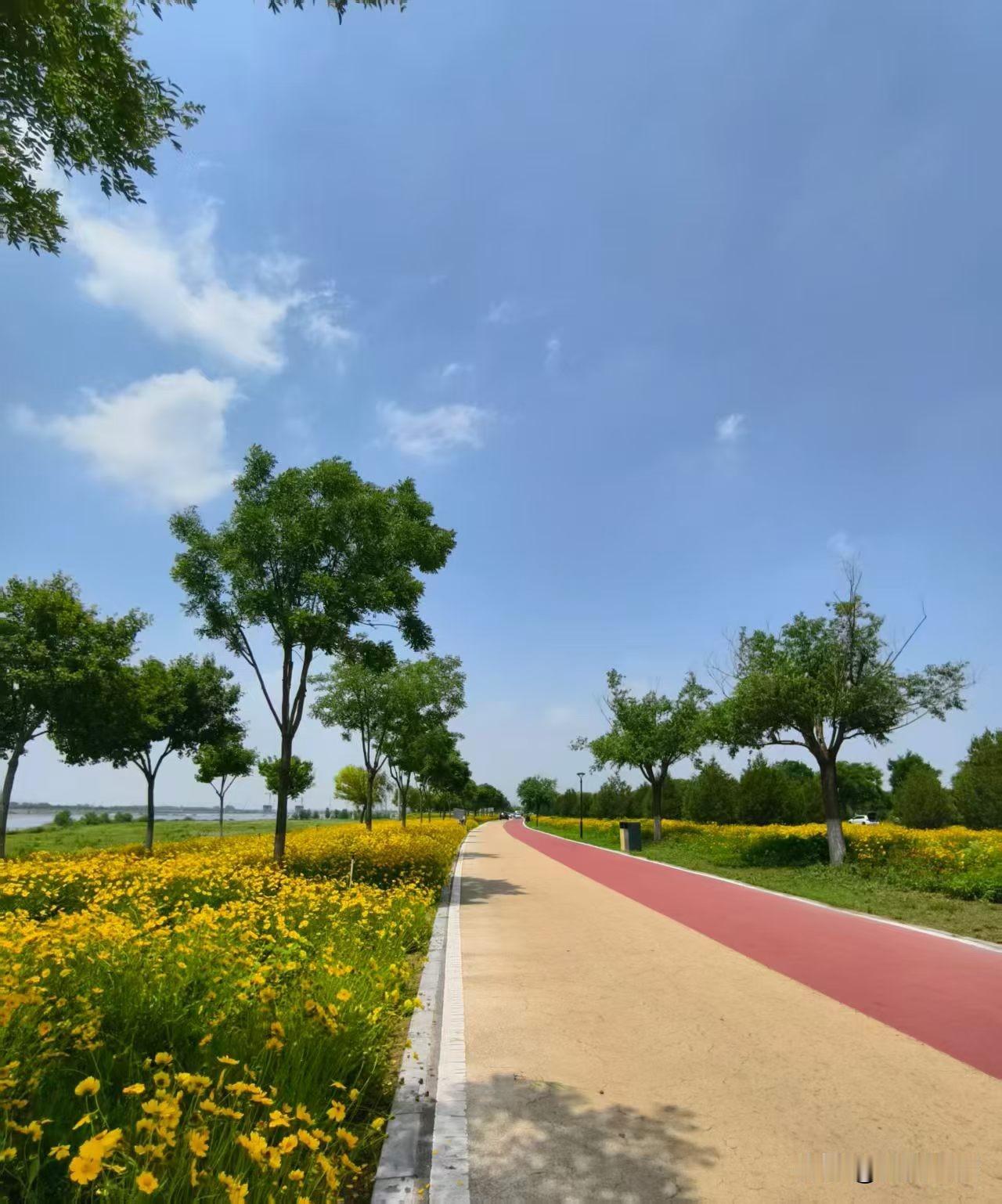 很多人很困惑，问：为什么一边说无我，一边又要说独立自主；为什么一边说独立自主，一