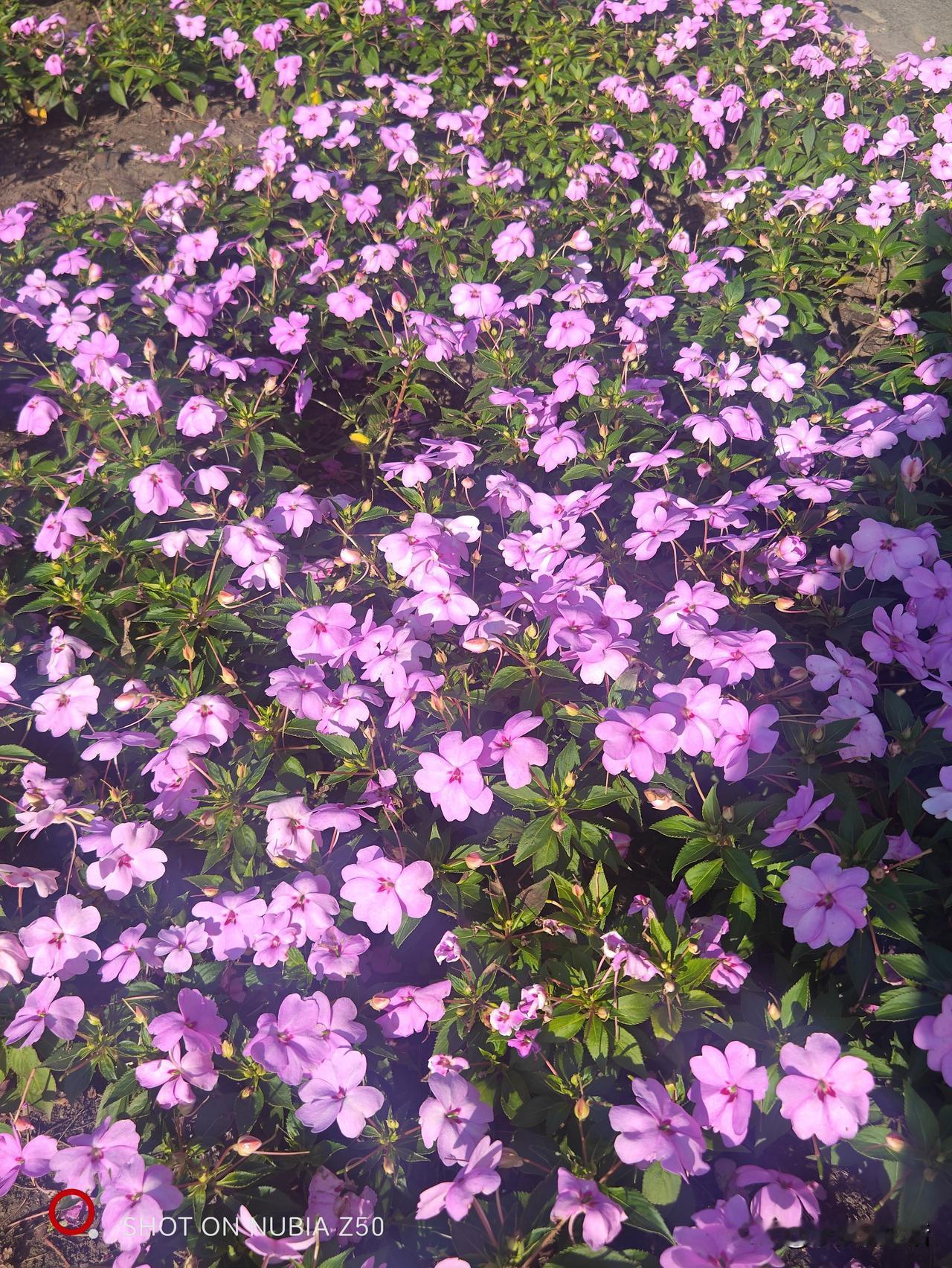 ：家家团团圆圆。