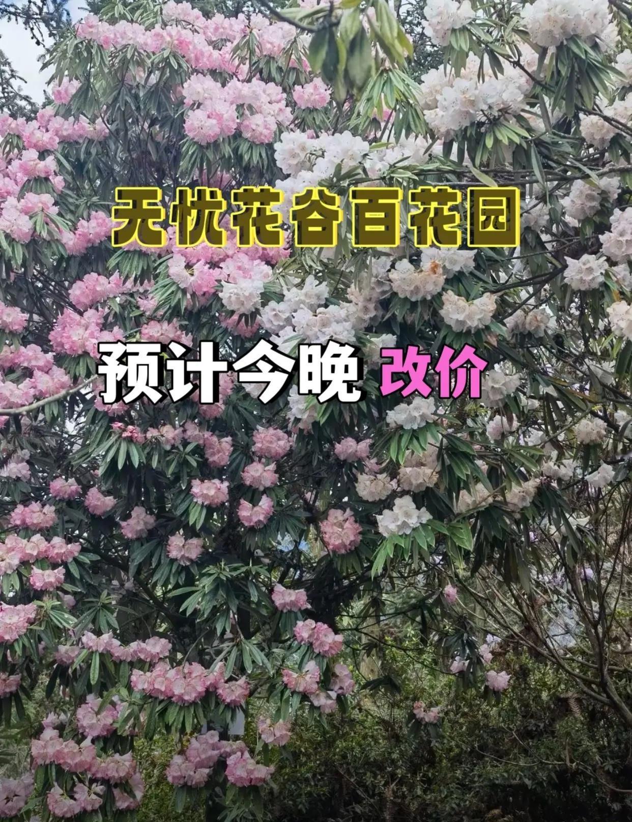 无忧花谷百花园 成都周边 成都周边游 成都周边露营 成都周边一日游