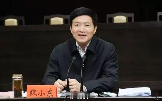 魏小东被查 北京市政协党组书记、主席魏小东涉嫌严重违纪违法，目前正接受中央纪委国