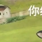 0000每日一善阳光信用詺桃 决心走一条路的时候，就不要左顾右盼，风景再美也别流