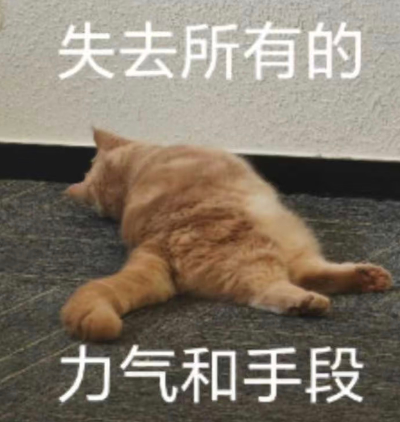评论511咋会吞评